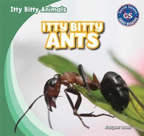 Itty Bitty Ants - 9781433998768 by Jasper Baer, 9781433998768