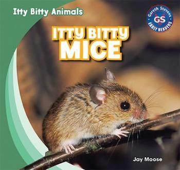 Itty Bitty Mice - 9781433998928 by Jay Moose, 9781433998928