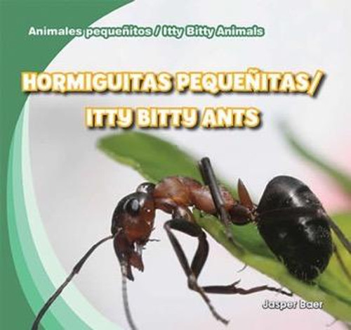 Hormiguitas pequeñitas / Itty Bitty Ants (Bilingual Edition) by Jasper Baer, 9781433999017