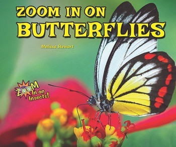 Zoom in on Butterflies by Melissa Stewart, 9780766042117