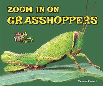 Zoom in on Grasshoppers by Melissa Stewart, 9780766042148
