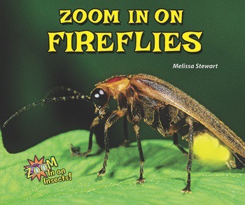 Zoom in on Fireflies - 9781464403699 by Melissa Stewart, 9781464403699