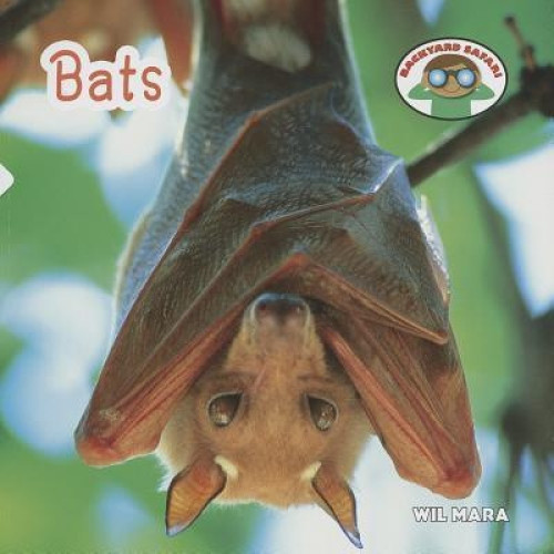 Bats - 9781627122962 by Wil Mara