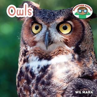 Owls - 9781627122986 by Wil Mara, 9781627122986