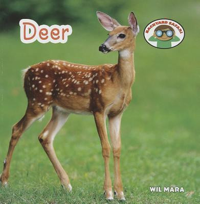 Deer - 9781627123051 by Wil Mara, 9781627123051
