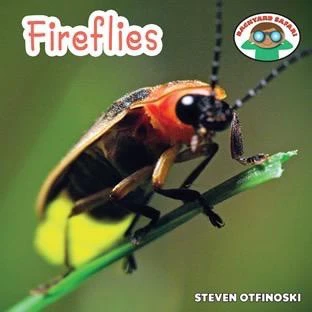 Fireflies - 9781627123075 by Steven Otfinoski, 9781627123075