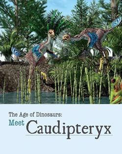 Meet Caudipteryx by Sheryn Knight, 9781627126106