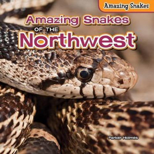 Amazing Snakes of the Northwest - 9781477765074 by Parker Holmes, 9781477765074