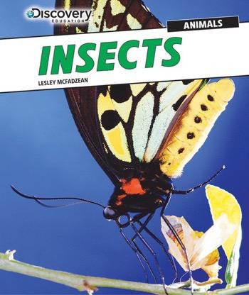 Insects - 9781477769522 by Lesley McFadzean, 9781477769522