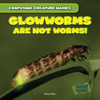 Glowworms Are Not Worms! by Daisy Allyn, 9781482409413