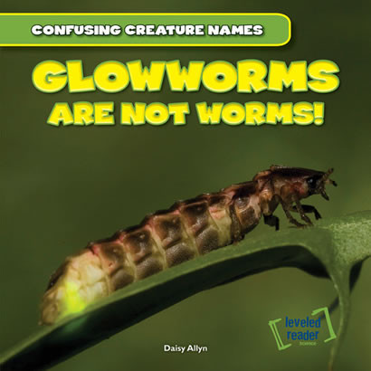 Glowworms Are Not Worms! - 9781482409420 by Daisy Allyn, 9781482409420