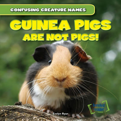 Guinea Pigs Are Not Pigs! - 9781482409475 by Evelyn Ryan, 9781482409475