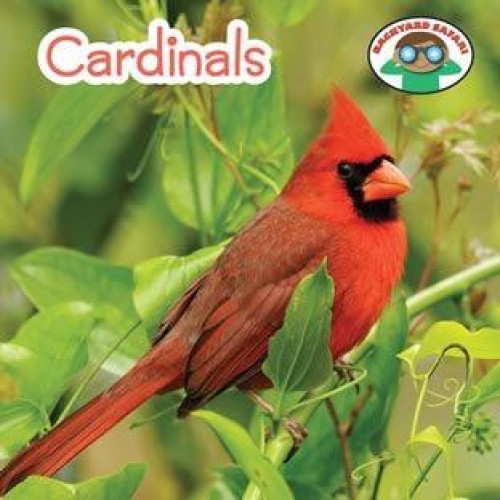 Cardinals - 9781627128223 by Wil Mara