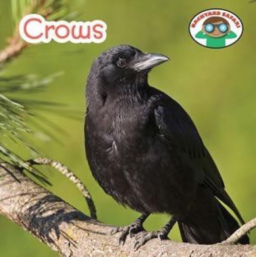 Crows - 9781627128322 by Steven Otfinoski