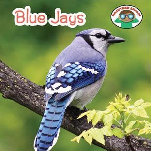 Blue Jays - 9781627128346 by Wil Mara, 9781627128346