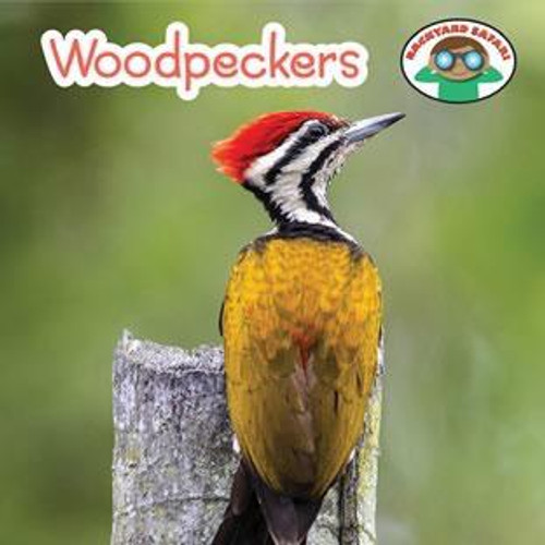 Woodpeckers - 9781627128384 by Wil Mara, 9781627128384