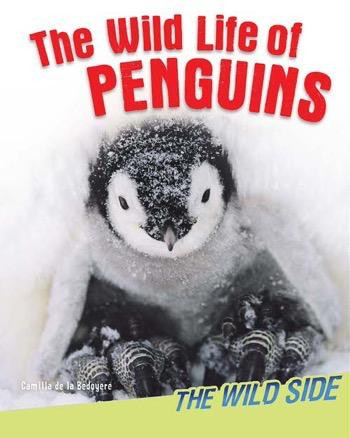 The Wild Life of Penguins - 9781477755020 by Camilla De La Bédoyère, 9781477755020