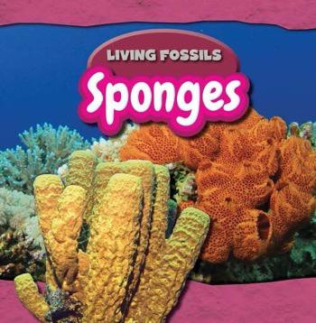 Sponges - 9781477758441 by Ryan Nagelhout, 9781477758441