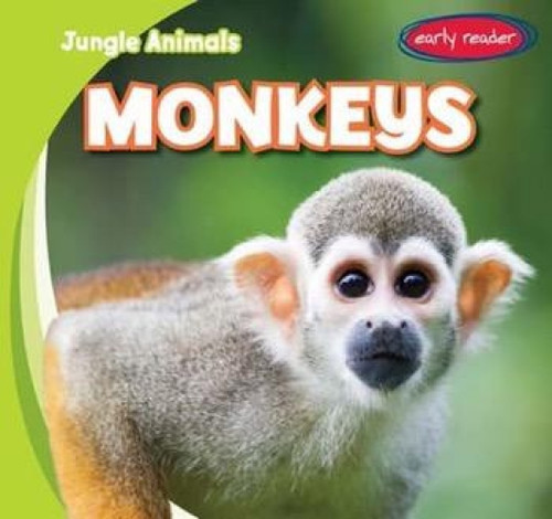 Monkeys - 9781482417524 by Rob Ryndak