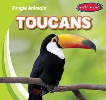 Toucans by Rob Ryndak, 9781482417647