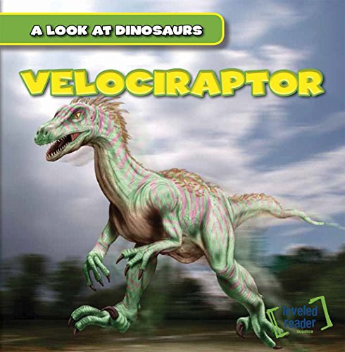 Velociraptor - 9781482418385 by Cory Lee
