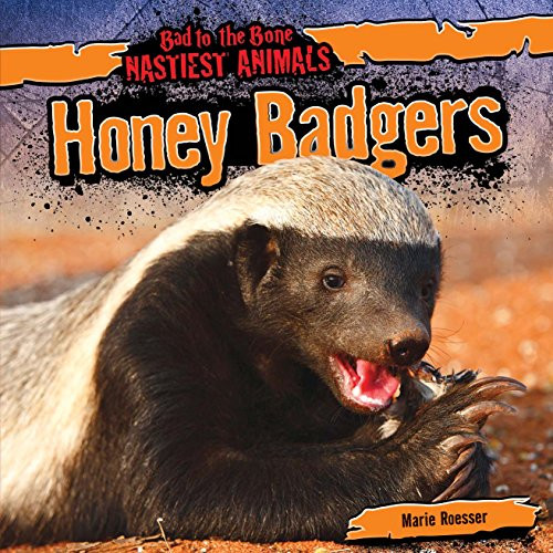 Honey Badgers - 9781482419542 by Marie Roesser