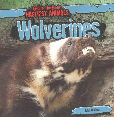 Wolverines - 9781482419702 by John O'Mara, 9781482419702