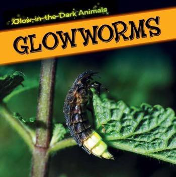Glowworms - 9781499401264 by Kristen Rajczak Nelson, 9781499401264