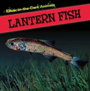 Lantern Fish - 9781499401479 by Sara Howell, 9781499401479