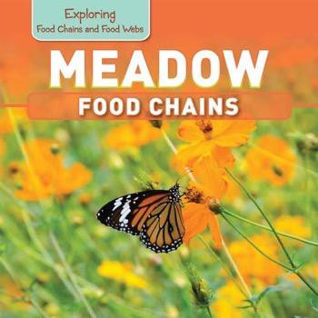 Meadow Food Chains - 9781499401554 by Katie Kawa, 9781499401554