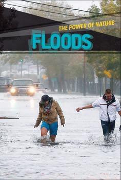 Floods - 9781502602114 by Petra Miller, 9781502602114
