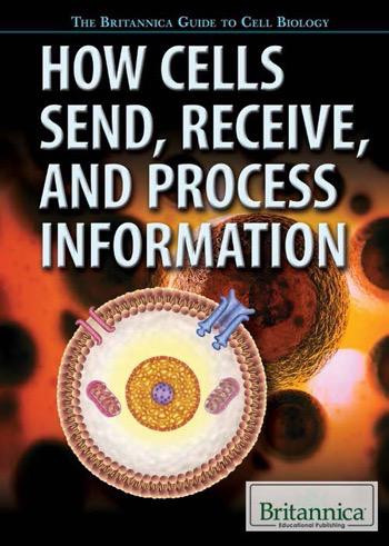 How Cells Send, Receive, and Process Information by Michael Friedman, Brett Friedman, Marc McLaughlin, 9781622758005
