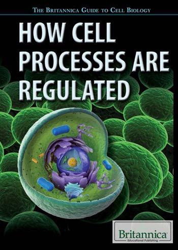 How Cell Processes Are Regulated by Lois Sakany, Clementine Tucker, 9781622758098