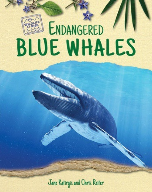 Endangered Blue Whales by Chris Reiter, Jane Katirgis, 9780766068889