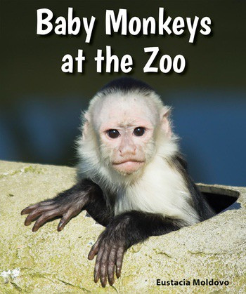 Baby Monkeys at the Zoo by Eustacia Moldovo, 9780766070738