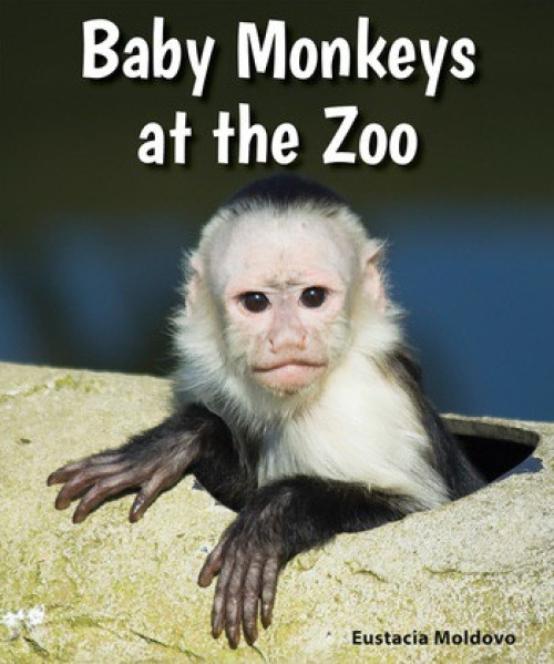 Baby Monkeys at the Zoo - 9780766070752 by Eustacia Moldovo