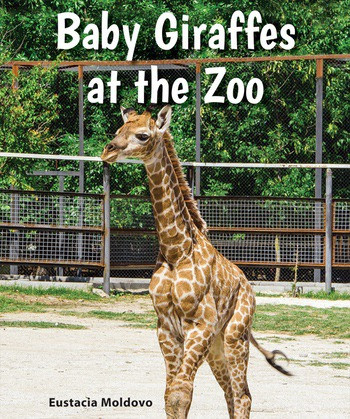 Baby Giraffes at the Zoo - 9780766070844 by Eustacia Moldovo, 9780766070844