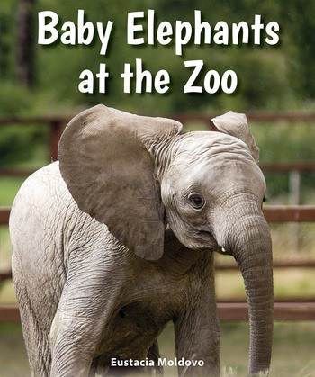 Baby Elephants at the Zoo by Eustacia Moldovo, 9780766070899