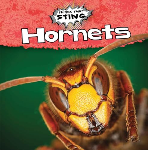 Hornets by Amy Hayes, 9781482416985