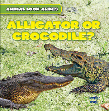 Alligator or Crocodile? - 9781482427080 by Rob Ryndak, 9781482427080