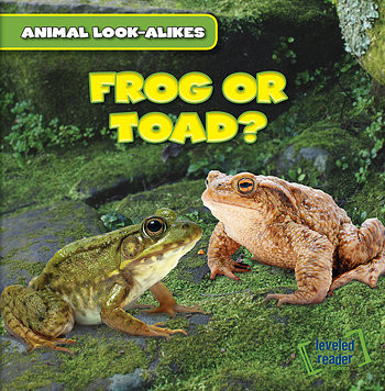 Frog or Toad? - 9781482427189 by Rob Ryndak, 9781482427189