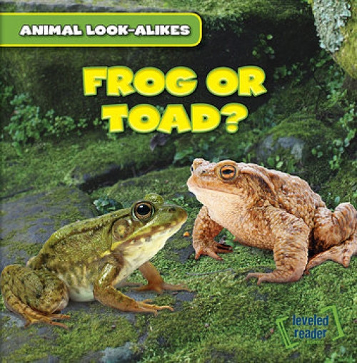 Frog or Toad? - 9781482427189 by Rob Ryndak