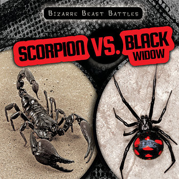 Scorpion vs. Black Widow by Caitie McAneney, 9781482427929