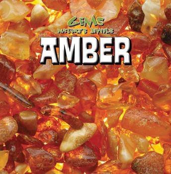 Amber - 9781482428544 by Michael Rajczak, 9781482428544
