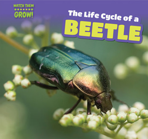 The Life Cycle of a Beetle - 9781499406627 by Elaine McKinnon, 9781499406627