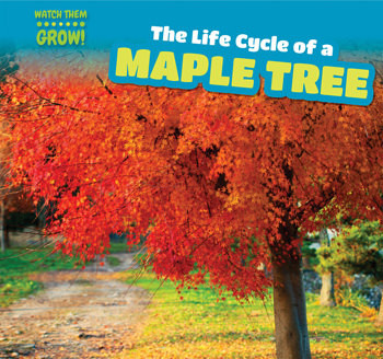 The Life Cycle of a Maple Tree - 9781499406795 by Gale George, 9781499406795