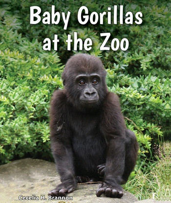 Baby Gorillas at the Zoo by Cecelia H. Brannon, 9780766071414