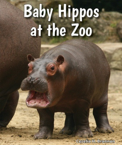 Baby Hippos at the Zoo - 9780766071483 by Cecelia H. Brannon