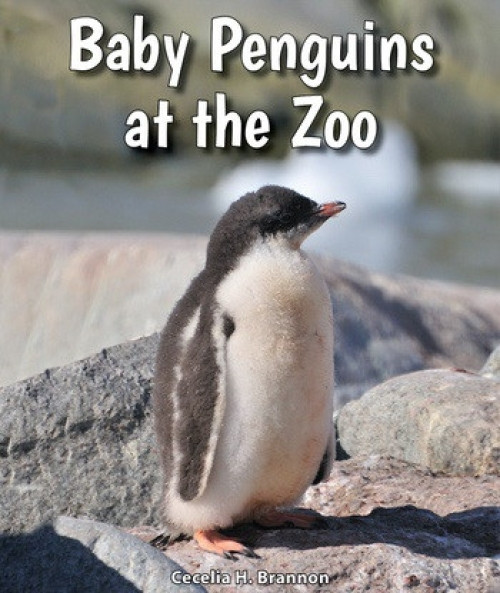 Baby Penguins at the Zoo - 9780766071520 by Cecelia H. Brannon