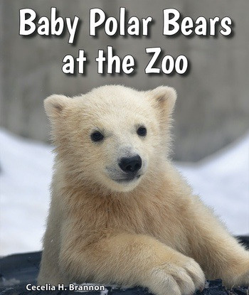 Baby Polar Bears at the Zoo - 9780766071568 by Cecelia H. Brannon, 9780766071568